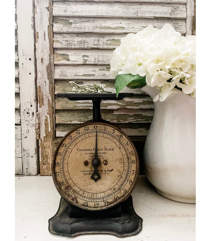 Vintage Black 24lb Columbia Family Scale